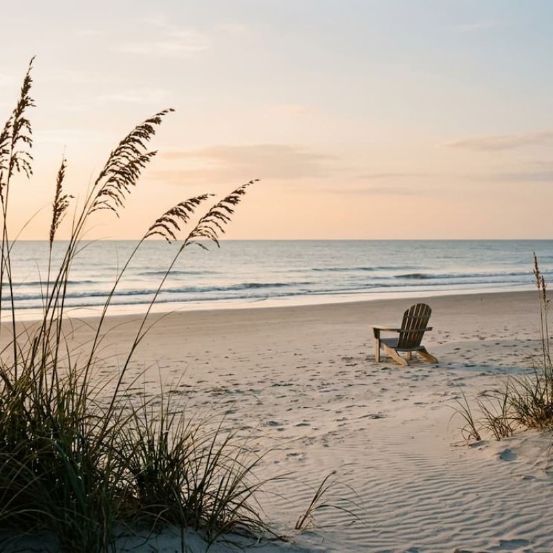 Sand dunes with beach grass at sunset
