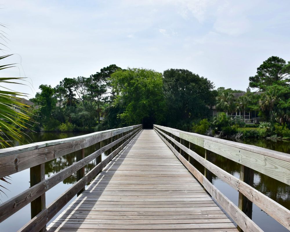 Wooden boardwalk path through natural landscape
