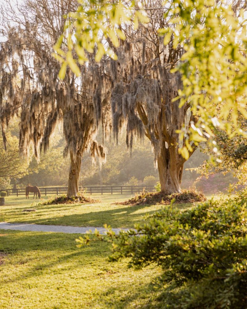 Choose your destination Seabrook Island