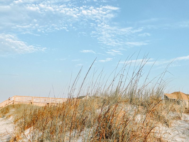 Journal a morning on kiawah