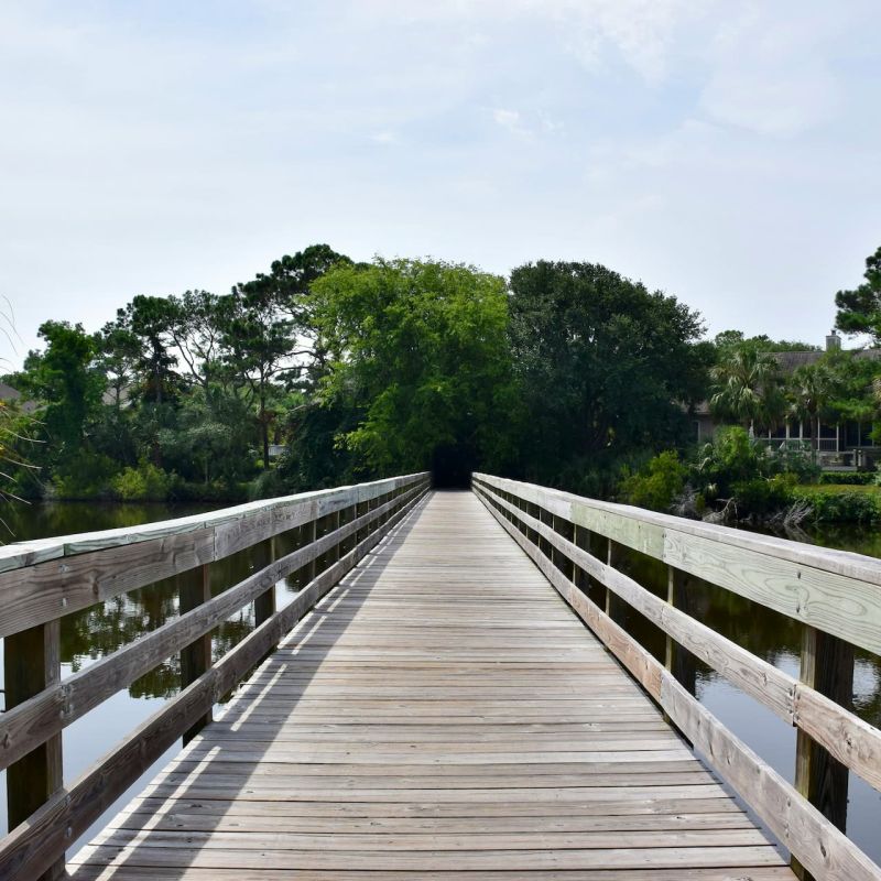Wooden boardwalk path through natural landscape